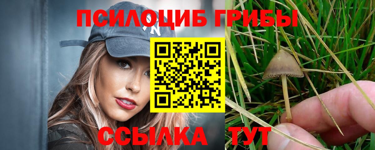 Канаш  Галлюциногенные грибы мухоморы  Вход с VPN  Галлюциногенные грибы мицелий 