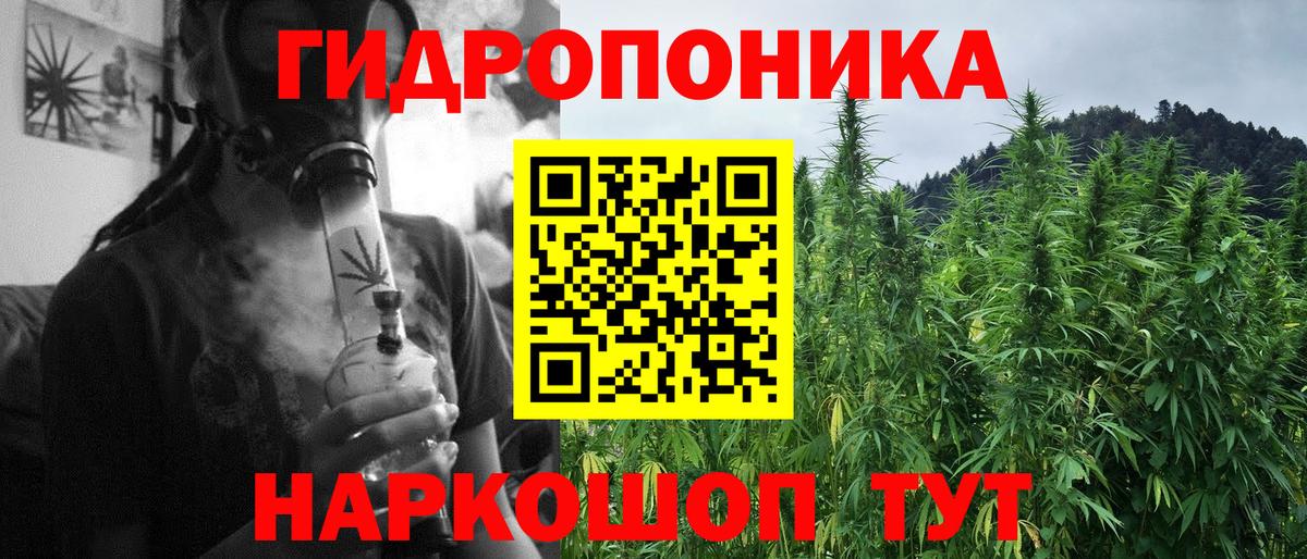 Канаш  Канабис Amnesia  Шишки марихуана планчик  Вход с VPN 